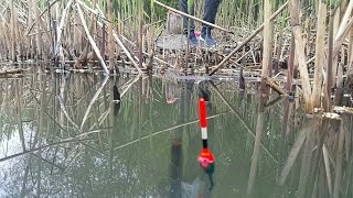 погода в коростене для рыбалки