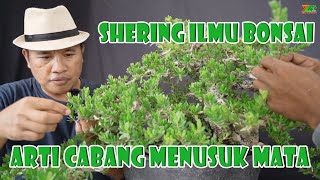 Download lagu APA YANG DI MAKSUD DENGAN CABANG MENUSUK MATA..?? SIMAK PENJELASANNYA mp3
