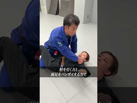 【技解説】ペンデュラムスイープ、Sマウント、ストレートアームロック