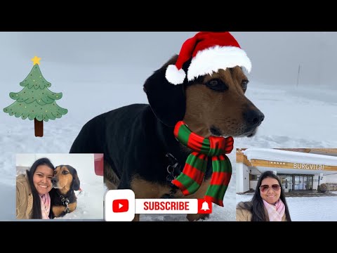 Lech Tirol Austria for winter holiday