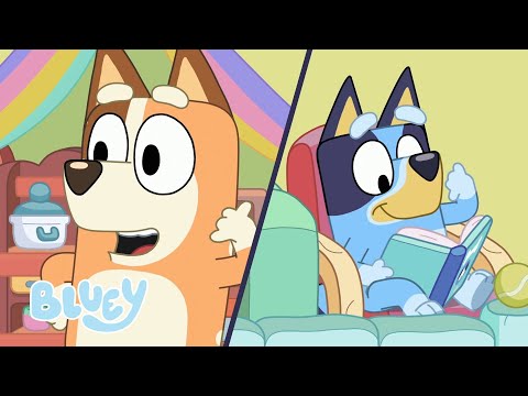 Capa de Clube do Livro do Bluey | Vizinhas | Bluey Português Brasil Canal Oficial