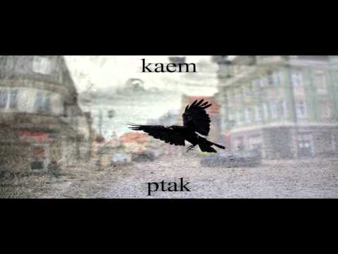 Kaem - Ptak