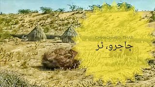preview picture of video 'Chhachhro Thar Desert Sindh'