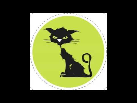 Nine Lives The Cat 'Vicious' Rico Tubbs remix WST016