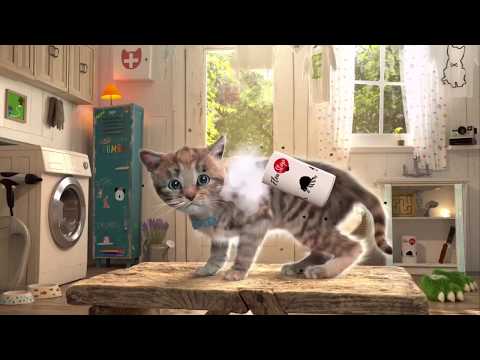 EL GATITO TIENE PULGAS | LAS AVENTURAS DEL GATITO