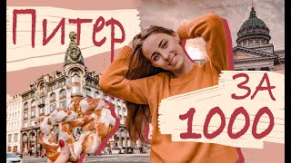 ВЛОГ Поехала в Питер За 1000 Рублей! Бомж Трип