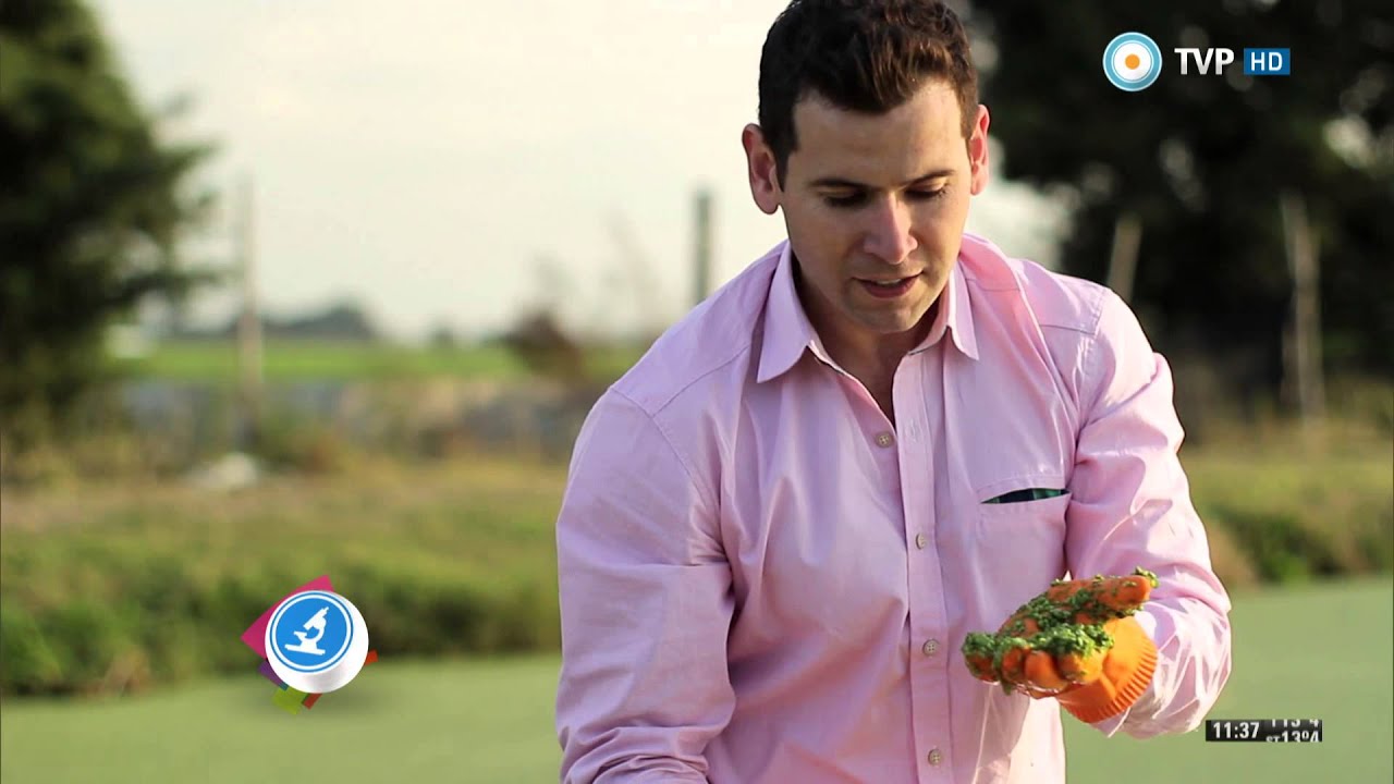 Científicos Industria Argentina - Producción de bioplásticos - 01-08-15