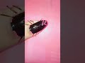 Easy Tape Art Designs Pink Black Colour Viral Youtube Shorts Trend