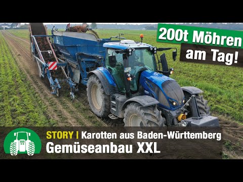Gemüsebau Großhans | Möhrenernte mit Valtra Traktoren | Gemüseanbau XXL | Sonderkulturen | Agrar