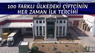 Hayvancılık Teknolojisinin Mihenk Taşı Royal İlaç