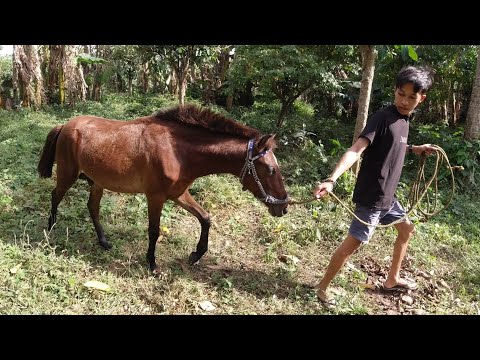 SE03EP016 - BUHAY MANGANGALAKAL " PANGUNGUTSAY " | San Pablo City, Laguna