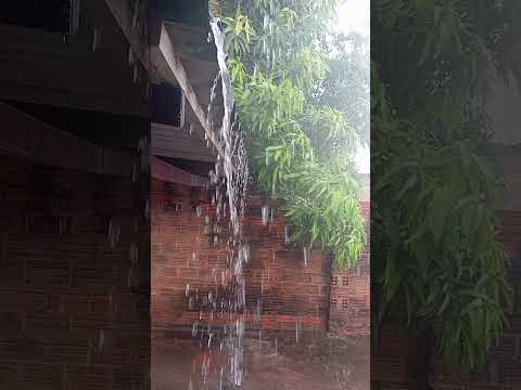 De Ontem em Cerejeiras Rondônia