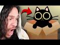 Do NOT Take This Cat Home He S POSSESSED