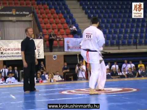 2010 Shinkyokushin EC Logrono: Donatas Imbras - Lucas Kubilius, men +90 kg