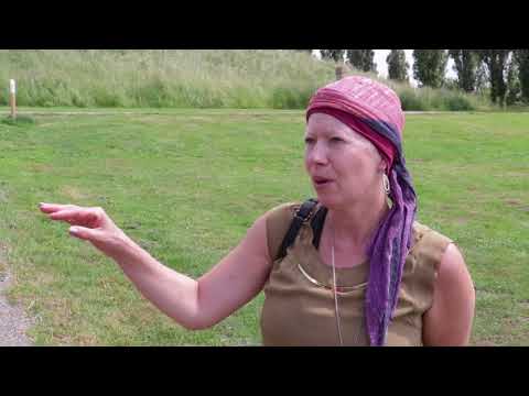 Hondenpoep nog steeds een ergernis in Molenvliet?