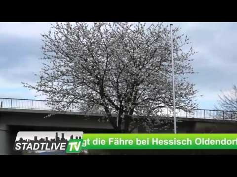 Fähre hessisch Oldendorf