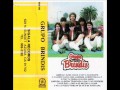 Grupo Brindys---no le puedo hablar de mi.wmv