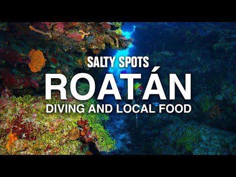 Coral Reef Diving & Local Seafood In Roatán Honduras | Salty Spots