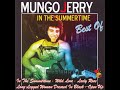 In The Summertime Mungo Jerry Speed Music Remix
