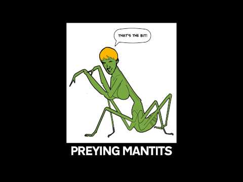 The Preying Mantits says Maria Shriver has Praying Mantis Face