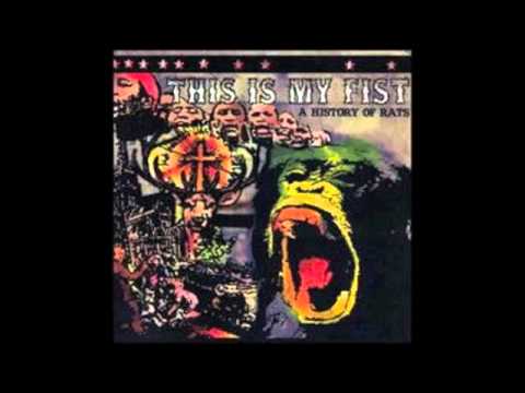 This Is My Fist! - Wave the Black Flag