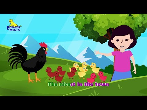 CHOOK CHOOK | English Nursery Rhymes | English Kids Songs