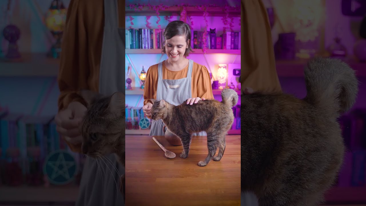 Quem nunca, né? 🫣 Alguma Bruxa gateira por aí com gatos que adoram participar das Magias? 😸