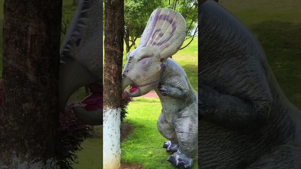 Video Placeholder