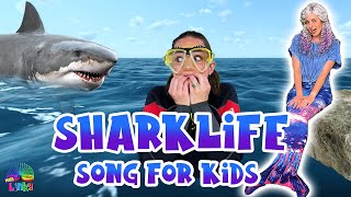 Shark Life gameplay video by HDOTDEPT, 4:06 duration