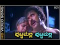Puttamalli Puttamalli Putnanja HD Video Song Ravichandran Meena Mano Hamsalekha