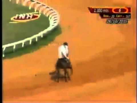 Resumen Miercoles, 28 de Octubre de 2015 - Santa Rita