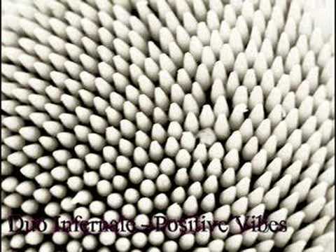 Duo Infernale - Positive Vibes