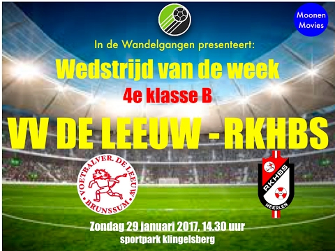 Samenvatting De Leeuw-RKHBS 29-01-2017