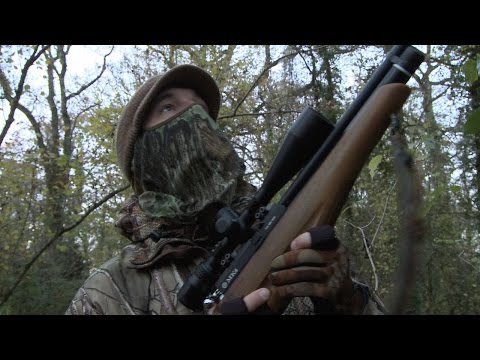 The Airgun Show – shooting crows at the roost PLUS Gamo Coyote review and the new Daystate Pulsar