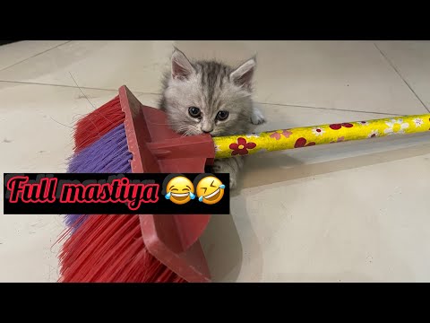 Bella na ke full mastiya #foryou #trending #viralvideo #grow