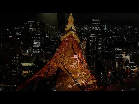 昼・夕・夜の都心を眼下に望む！東京タワーからの絶景に感激