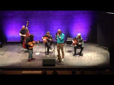 Harri Stojka & Hot Club de Vienne - Minor Swing