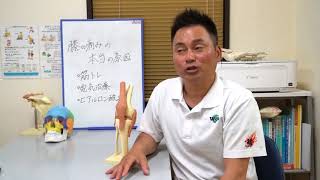 どこに行っても膝の痛みが改善しないあなたへ