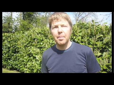 John Digweed @ Extrema Outdoor 2010