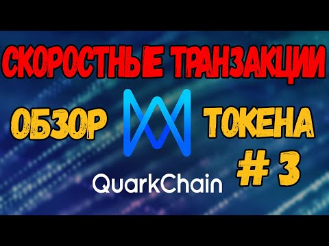 КРИПТА В ПЛЮС! ОБЗОР проекта QuarkChain #3 (Обзор ТОКЕНА)
