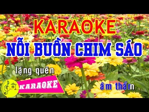 Nỗi Buồn Chim Sáo Karaoke || Beat Chuẩn