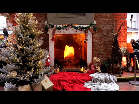 14 Tips On How To Have A Sustainable Christmas | BBC Earth