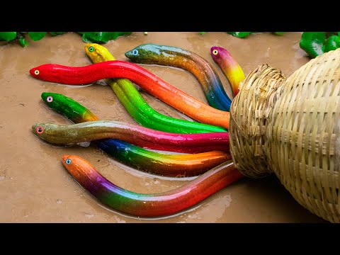 Stop Motion Rescue The Koi Fish From The Catfish And Eel Prison Colorful Koi Primitive Cooking Coco