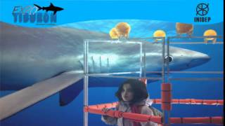 DIA 2 Expo Tiburon38