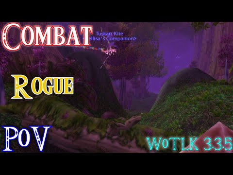 Combat Rogue in Icecrown Citadel 25 Heroic + The Ruby Sanctum 25 Heroic and a bonus!