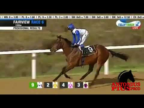 captain of my heart (Nooresh Juglall)