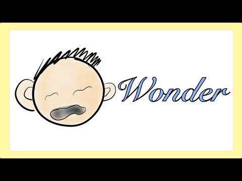 Wonder by R.J. Palacio (Book Summary) - Minute Book Report