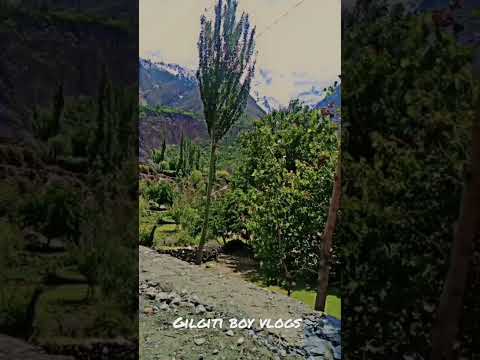 hunza Mayon valley 😱😱😍#hunza_valley 🥀#hunza_mayoon_valley #rakaposhiviewpoint #beauty_of_gilgit