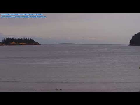 LIVE Departure Bay  Weather Cam & BC Ferries Views | Nanaimo, BC