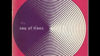 Spectres - Sea Of Trees (Official Video)